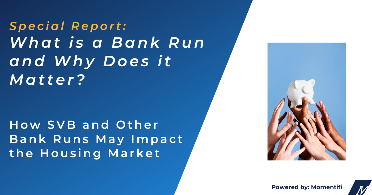 What is a bank run and why does it matter?